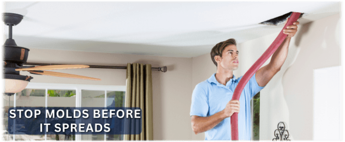 Air Duct Mold Removal in Tacoma WA